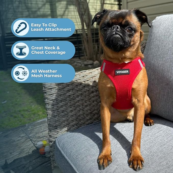 Best Pet Supplies Voyager Step-in Air All Weather Mesh Harness and Reflective Dog 5ft Leash Combo with Neoprene Handle, for Small, Medium and Large Breed Puppies - Red, XXX-Small