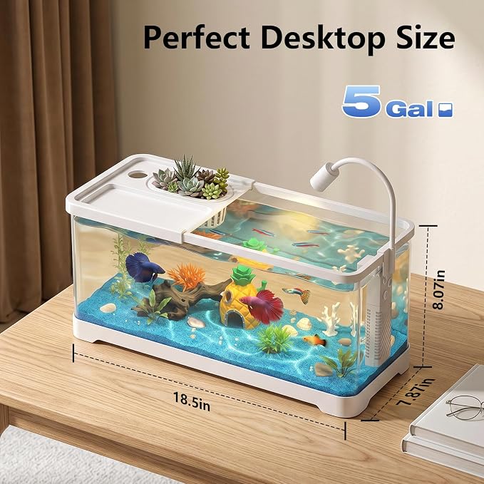 5 Gallon Fish Tank Aquarium Starter Kit with Filter and Light, All in One Small Fish Tank for Betta, Kids & Desktop Use, Self Cleaning Nano Aquarium with Lid(Large White)