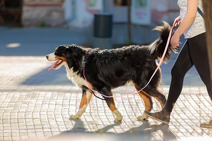 TwoEar 5FT 1IN Strong Pink Dog Leash with 2 Padded Handles, Traffic Handle Extra Control, Comfortable Soft Dual Handle, Auto Lock Hook, Reflective Walking Lead for Small Medium and Large Dogs