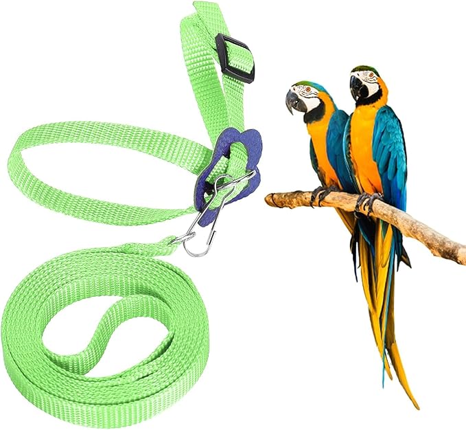 Bird Harness and Leash, 120cm Pet Parrots Adjustable Nylon Anti‑Bite Training Rope for Outdoor Flying Parrot Harness Leash Training Supplies for Parrots Alexandrine, Scarlet, Keck, Mini Macaw(Green)