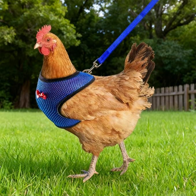 Chicken Harness and Leash Set Adjustable Mesh Breathable Duck Training Harness Pets Leashs for Goose Hen Rooster Parrots Dog Kitten, Blue S