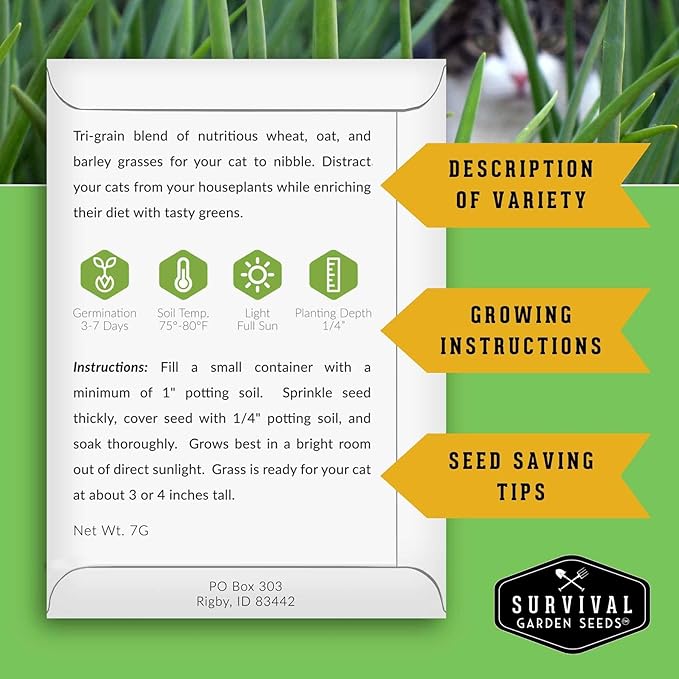 Cat Grass Seeds for Planting – Grow Pet Greens Indoors or Outdoors – Heirloom Non-GMO Tri Grain Blend – Survival Garden Seeds (2 Pack, Seed Only)