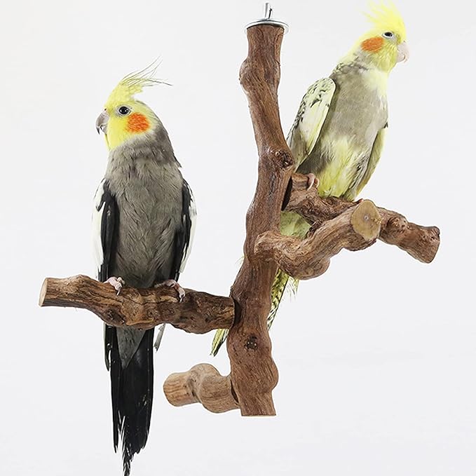 6 PCS Bird Perch Stand Natural Grapevine with Chewing Toys for Parrots, Parakeets, Cockatiels, Conures, Macaws, Love Birds (Style 8)