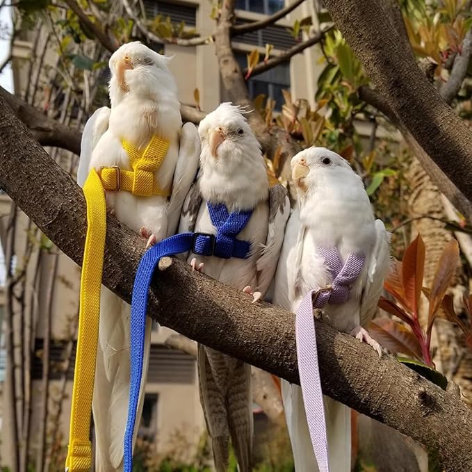 Adjustable Bird Harness with Elastic Leash, Pet Parrot Harness and Leash, Adjustable Training Design Anti-Bite, Bird Nylon Rope with Cute Wing for Conure (Orange,2M)