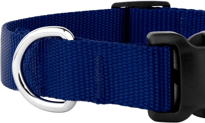 Country Brook Petz - Everyday Nylon Dog Collar and Leash - 10+ Cool Colors (1 Inch, Large, Royal Blue)