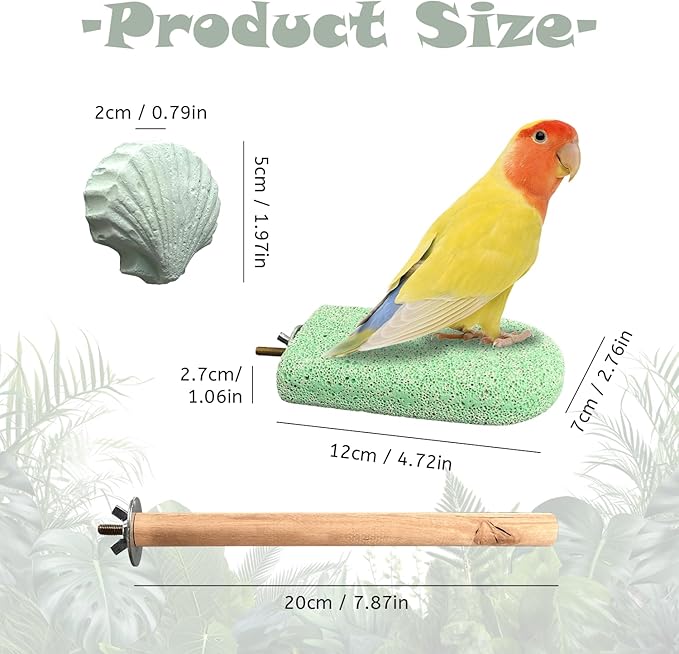 Chewing Birds Toy, 5 Pcs Natural Parrot Cuttlebone Set – Includes Cuttlebone, Lava Block, Grinding Stone & Wooden Perch for Beak Trimming & Calcium – for Small and Medium Parakeets, Cockatiels