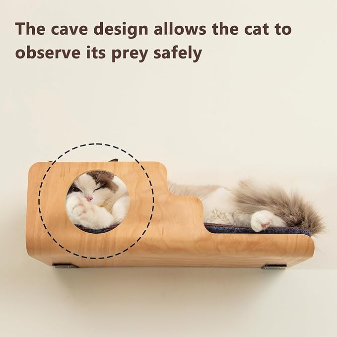 LIORCE Cat Wall Shelves, Creative Design Cat Shelf with Peephole, 19 x 10 inch Cats Wall Furniture with Comfortable Pad, Cats Perch for Sleeping, Playing, and Scratching.