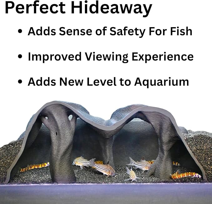 Aquarium Underground Cave Natural Mangrove Tree | Viewing Fish Under Gravel Tunnel Hide | Fish Tank Hideout Decor Decoration Enrichment for Corydora Catfish, Kuhli Loach, Clown Loach, Pleco, Betta