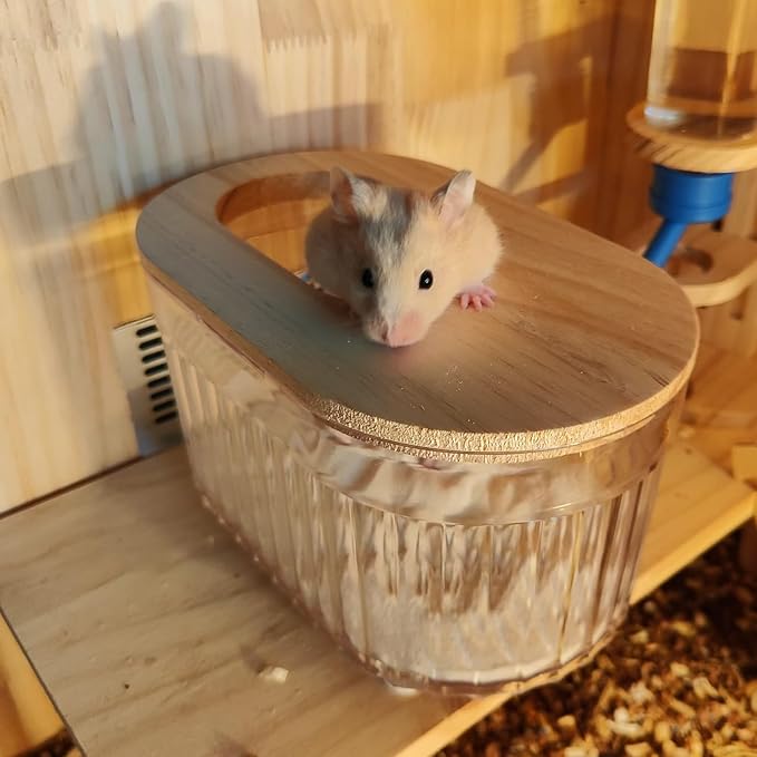 Transparent Oval Hamster Sand Bath Box for Hamster Cage Accessories, Digging Sand Container with Climbing Ladder, Large Sandbox for Hamsters Dust Bath and Play Sand, Large