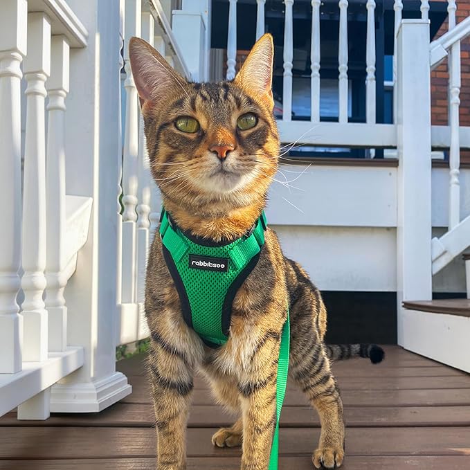 rabbitgoo Cat Harness and Leash for Walking, Escape Proof Soft Adjustable Vest Harnesses for Cats, Easy Control Breathable Reflective Strips Jacket, Grass Green,S