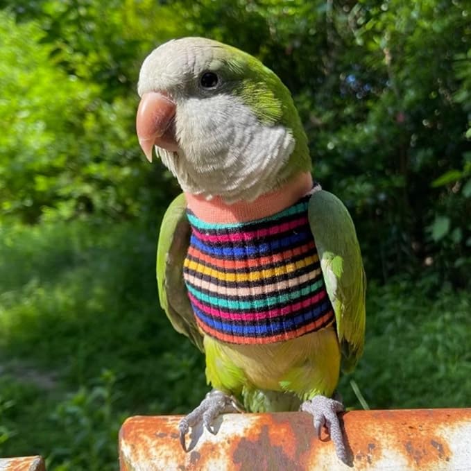 Bird Clothes - Handmade Cotton Stripe Shirt Round Collar Sweater Flight Suit for Parrots African Greys Parakeet Cockatiel Sun Conure Christmas Halloween (Without Diaper,L)