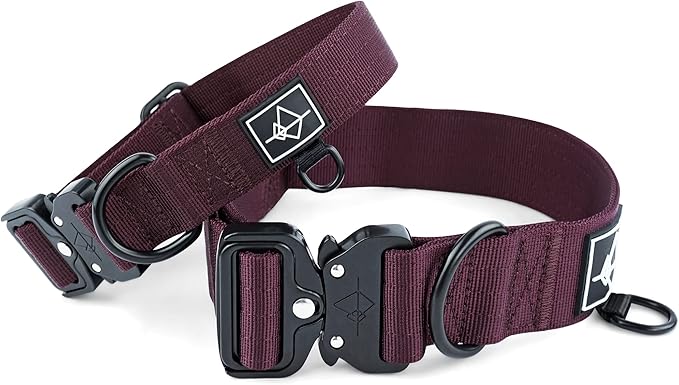Made to ROAM Premium Dog Collar - Adjustable Heavy Duty Nylon Collar with Quick-Release Metal Buckle (Vermont Weekends, Classic Size 0)