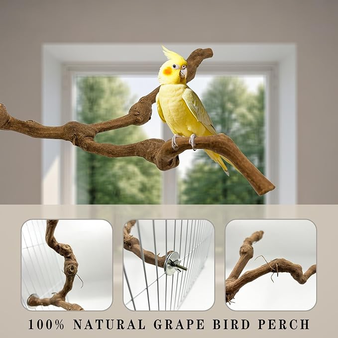 6 Pcs Medium Bird Perch Set, Natural Wood Bird Perches, Parrot Cage Toys for Cockatiels, Conures, Budgies, and Parakeets, Cage Accessories for Small and Medium Parrots