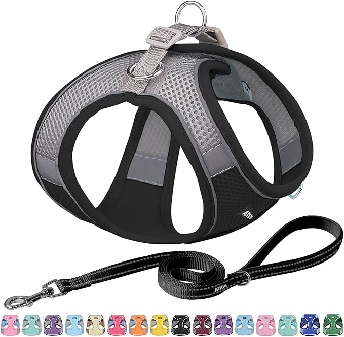 AIITLE Easy Walk Dog Harness and Leash Set - Pet Supply No Pull, Step in Adjustable Dog Harness with Padded Vest, Dog Harness No Choke Over, Easy to Put on Medium Dogs Black L