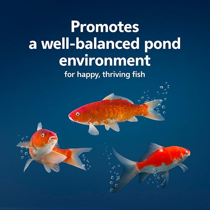 Aqueon Pure Pond Bomb, Reduces Organic Waste, Ammonia and Nitrates, Pond Maintenance and Biological Boost, Treats 2500 Gallons, 1-Pack