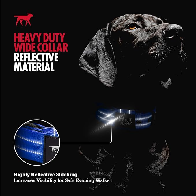 Tuff Pupper Heavy Duty Tactical Dog Collar | 1.25" Wide Ballistic Nylon | Reflective Stitching | Integrated ID Tag Holder | Stainless Steel Buckle | Padded Lining | Small & Medium Dogs (Blue, Small)