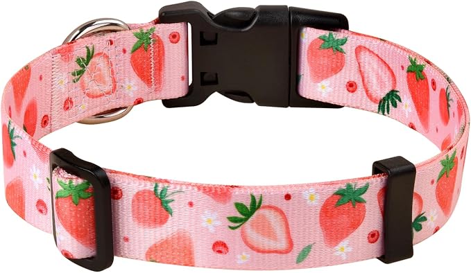 MarukoPet Dog Collar and Leash Set, Adjustable for Small Medium Large Dogs Puppy, Cute Design with Bohemia Floral Tribal Geometric Patterns Boys Girls Dog Collar(Strawberry Set,S)