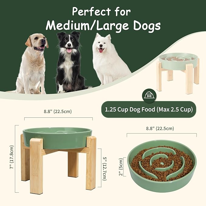 Elevated Slow Feeder Dog Bowl Large Breed, 8.8 Inch Ceramic Slow Eating Bowl with Bamboo Stand, Anti-Choking Raised Maze Design for Medium to Large Dogs, 3.2 Cup, Green