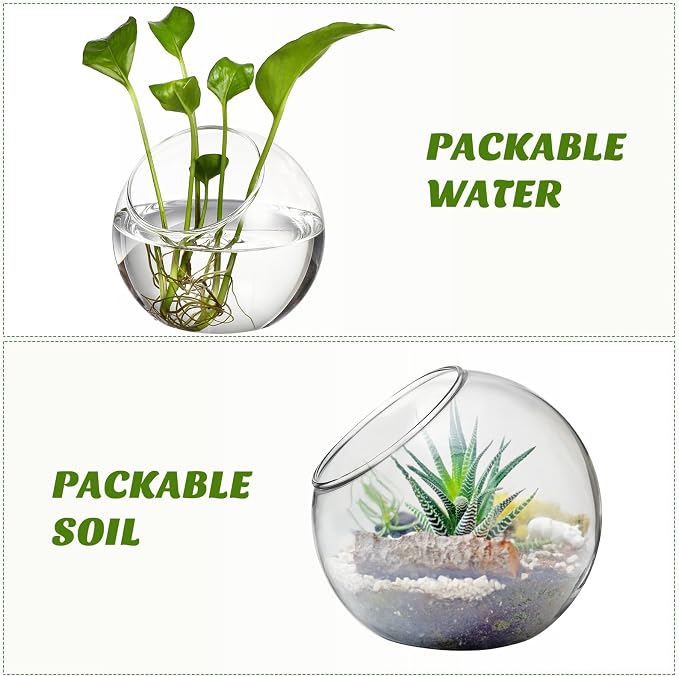 Milisten 3pcs Glass Terrariums for Plants, Slanted Terrarium Jar, Glass Fish Bowls for Air Plant Succulent Cactus Moss, Clear Globe Vase Container for Home Desktop Micro Landscape Decor, 3 Size