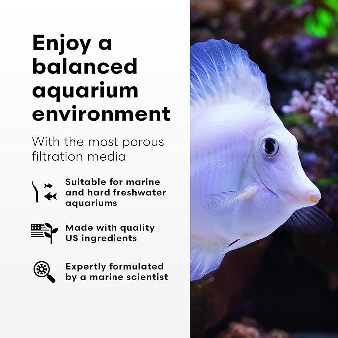 Brightwell Aquatics - Xport-BIO Block Aquarium Filter - Biological Filtration Media for Bacteria Growth, Nutrient Control & Control of Unwanted Nutrients - Aquarium Water Treatments, 8 Pack, 1.5 inch