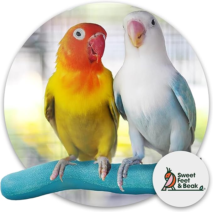 Sweet Feet and Beak Safety Pumice Perch - Trims Nails and Beak - Promotes Healthy Feet - Safe Non-Toxic Bird Supplies for Bird Cages - Small 8" - Purple