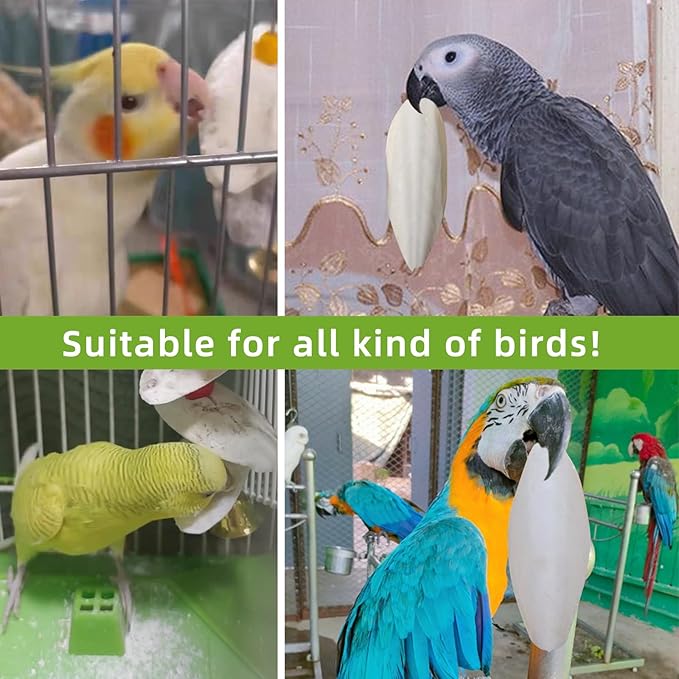 4.3"-4.7" Cuttlebone for Birds,Parakeets Cuddle Bone Beak Trimming,Premium Calcium Natural Cuttlefish Bone for Parrot,Cockatiel,Budgie,Tortoise, Snails,Reptiles,12 Pcs