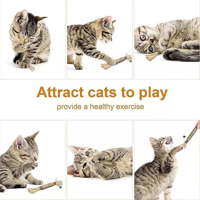 Natural Silvervine Dental Sticks, Silvervine Sticks for Cats, Natural Silvervines Stick Cat Chew Toy, Promote Dental Health, Engage & Entertain (2PCS)
