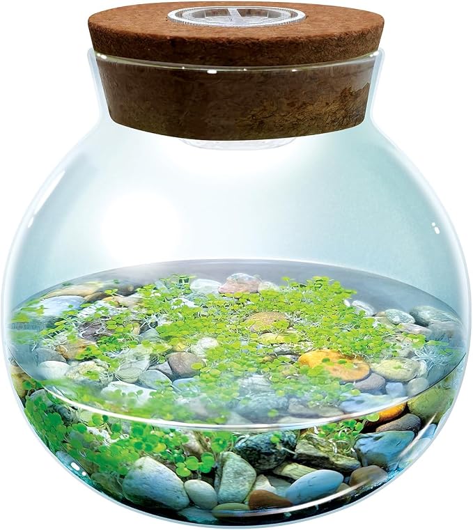 WaterPlants- Create Your Own Lush and Soothing Aquascape Terrarium Starter Kit, Indoor Plant Glass Globe Terrariums with Powerful 3 LED Light and Complete Supplies, Just Add Water!