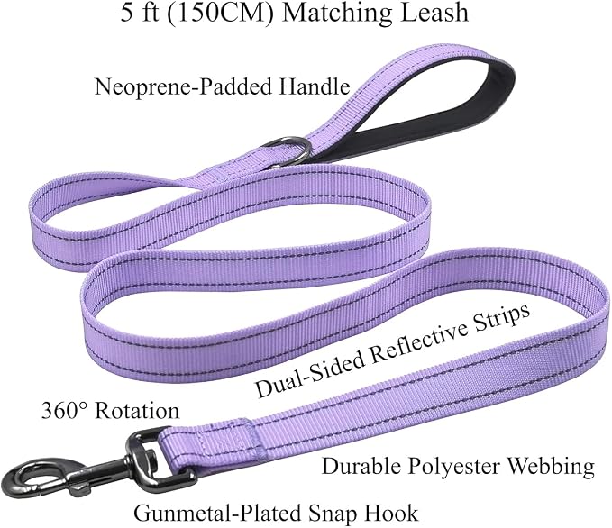 Dog Collar Leash Set,with Relfective Strips,Lilac Purple,Small. | Adjustable Collar,5 ft Matching Leash,Neoprene Padded Handle.