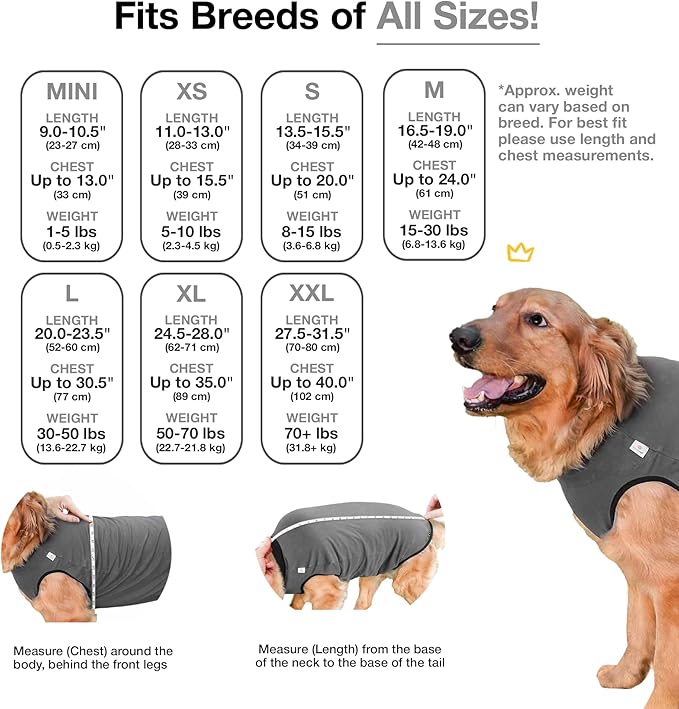 BellyGuard Dog Surgery Recovery Suit, Dog Onesie for Post-Op Care, Recovery Apparel for Female and Male, Surgical Body Cover for Canine Healing Support