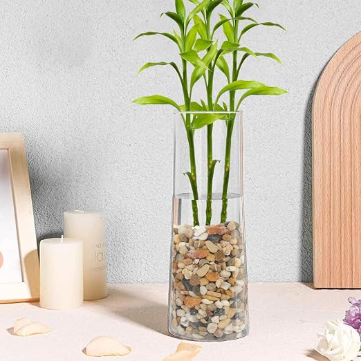GASPRO 5 lb Decorative Pebbles for Plants, 3/8 Inch Mixed Color Rocks, Small Stones for Indoor Planters, Succulents & Vase Filler, Pea Gravel for Aquariums