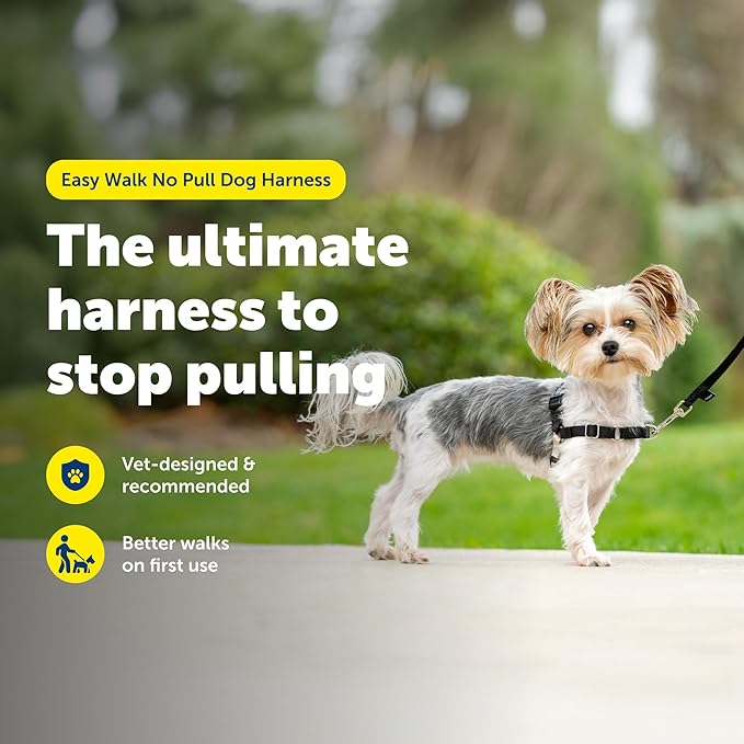 PetSafe Easy Walk No-Pull Dog Harness - The Ultimate Harness to Help Stop Pulling - Take Control & Teach Better Leash Manners - Helps Prevent Pets Pulling on Walks - Petite/Small, Black