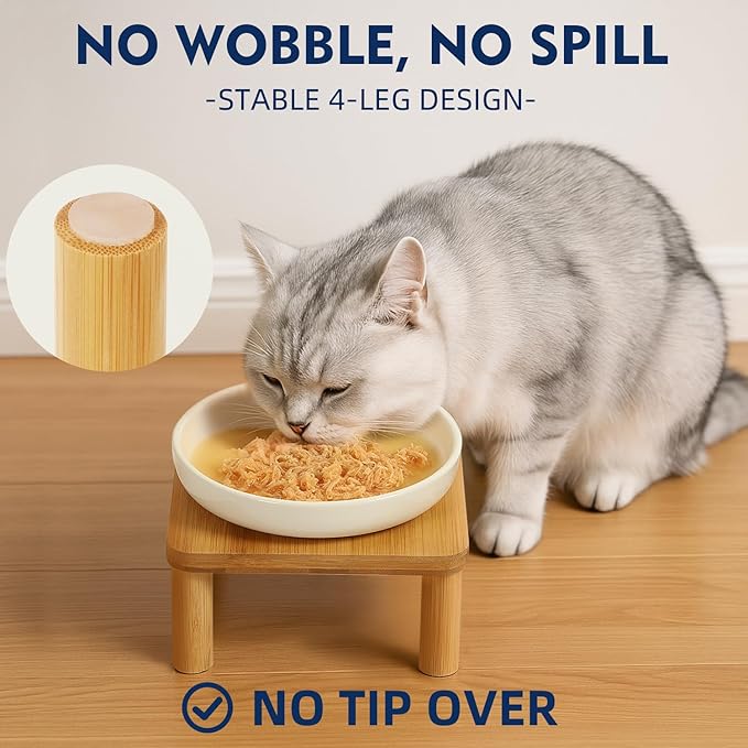 DoogCat Elevated Cat Bowls for Indoor Cats – Raised Bamboo Cat Bowl Stand with 5.75 Inch Wide Ceramic Dishes, Pet Food Plate Table for Easy Feeding, Whisker Friendly(White,Set of 2)