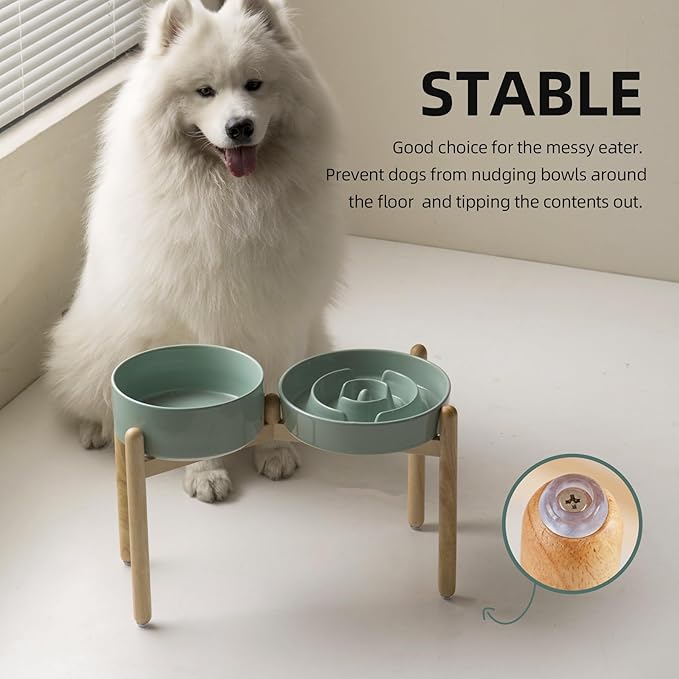 Havniva 3.2 Cup Ceramic Raised Slow Feeder Dog Bowl Set, Elevated 8.2inch Bowl and 9.5inch Puzzle Slow Food Dish with Wooden Stand for Large Dog, Anti-Gulping (2 x Light Green+ Stand)