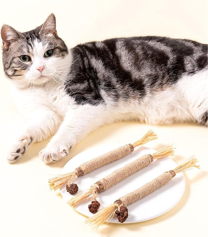 UBIETY Natural Silvervine Dental Sticks, silvervine Sticks for Cats，Natural Cat Chew Stick, Interactive Kitten Chew Playthings, for Indoor Kitty Nip Teeth Cleaning Dental Care Biting (10PCS)