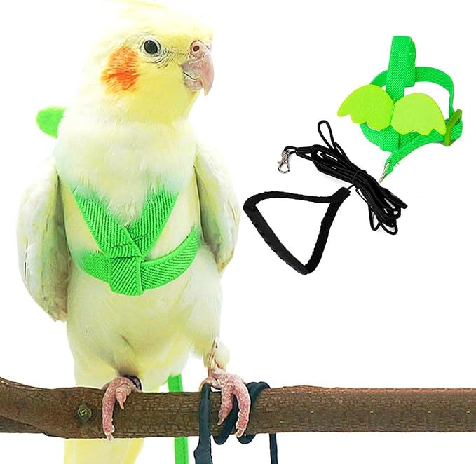 Birds Harness Leash Outdoor Flying Escape-Proof Adjustable Training Design Anti-Bite Bird Rope with Cute Wing for Parrots Scarlet Keck Mini Macaw Love Birds (Green)