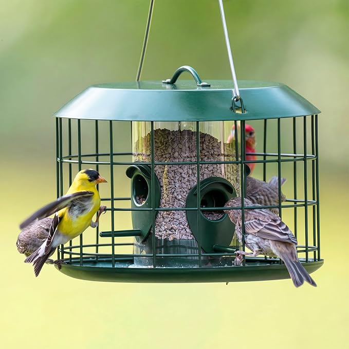 Kingsyard Tube Squirrel Proof Bird Feeders for Outdoor Hanging, Metal Caged Bird Feeder with Rain Proof Covered for Wildbirds Finches Bluebird, 4 Feeding Ports, Green