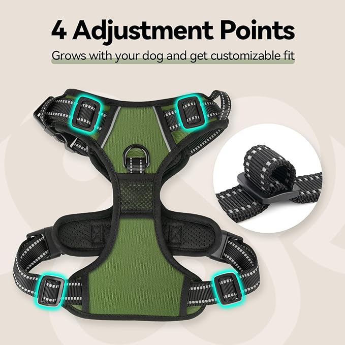 PHOEPET No Pull Dog Harness with Handle Front & Back Clip, Easy on Lockable Snap Buckle at Neck, Adjustable Reflective Vest with Handle for Small Medium Large Dogs (L, Misty Green)