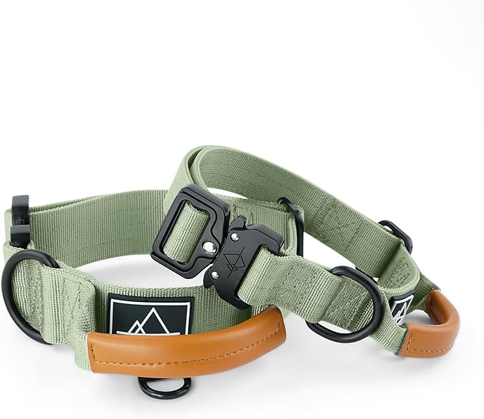 Made to ROAM Premium Explorer Control Collar - Adjustable Heavy Duty Nylon Dog Collar with Quick-Release Metal Buckle and Handle (Washington Rain, Control Size 5)