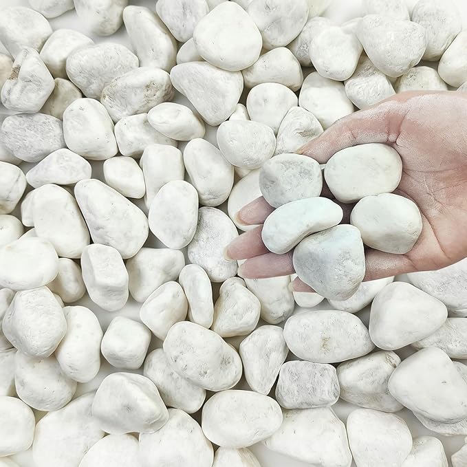 FANTIAN 20 lbs White Stones for Landscaping, 1-2 Inch Pebbles Decorative River Rocks for Plants Indoor, Vases, Aquariums Gravel, Crafting and Garden
