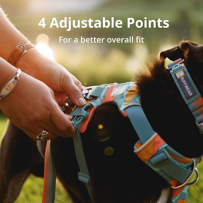 Ruffwear, Front Range Dog Harness, Reflective Soft Padded Everyday Harness with Dual Leash Clips, Adjustable and Lightweight Fit for Training or Walking for All Dogs, Coastal Mountains, Large/X-Large