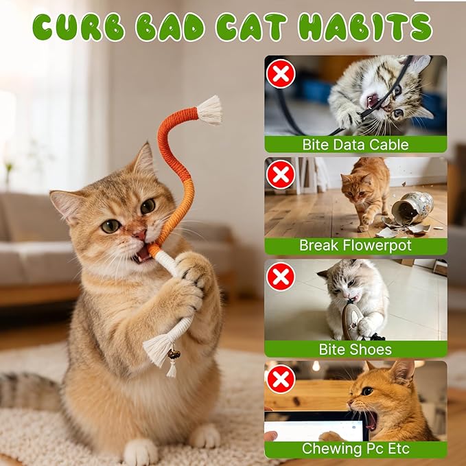 Silvervine Sticks for Cats & Cat Chew Ropes Cat Chew Toys for Indoor Cats Kitten Teething Toys for Dental Cleaning Teeth with Natural Catnip Bag, Increase Appetite, Enhances Oral & Dental Health,14PCS