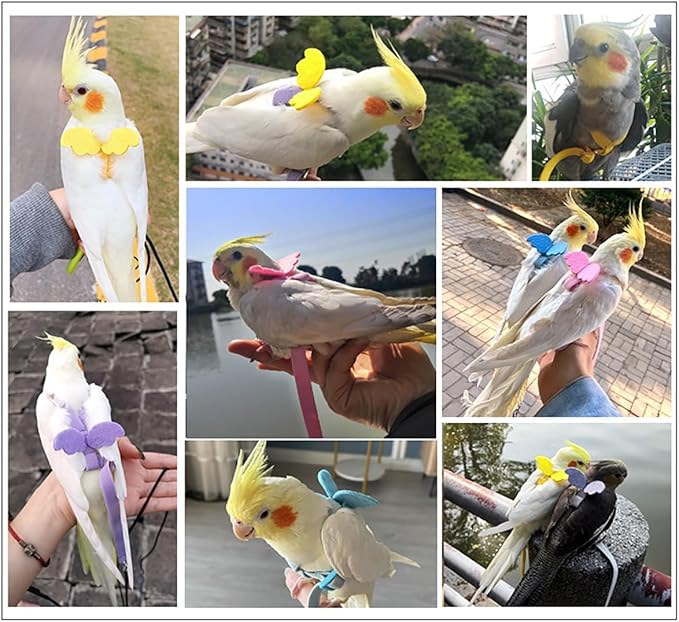 Bird Harness Parrot Leash -Adjustable Outdoor Flying Kit for Parrot Budgie Lovebird Cockatiel Macaw Parakeet (4 Pcs,M)