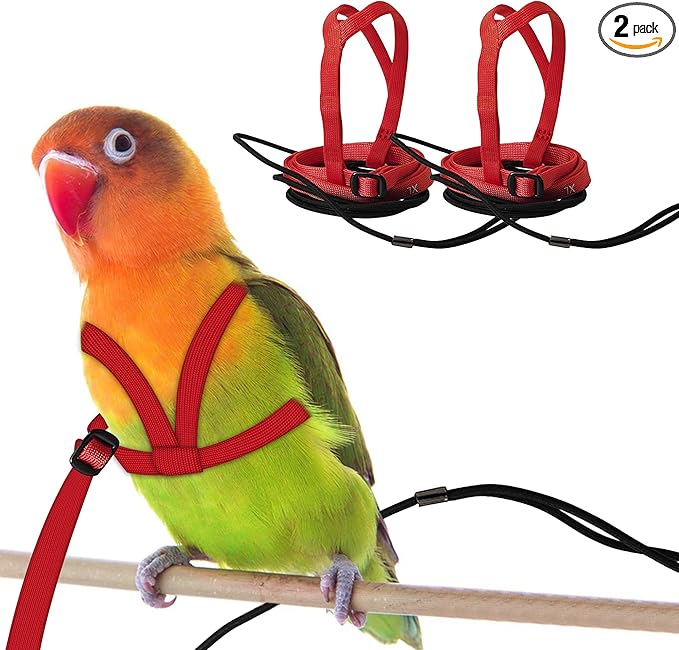 2 pcs Pet Parrot Bird Harness and Leash, Adjustable Training Design Anti-Bite, Outdoor Flying Training Rope Kit for Bird Parrots Fits Birds Chest Between35-62cm /13.78-24.41inch - L (red)