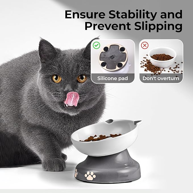 Y YHY Slow Feeder Cat Bowl, Ceramic Elevated Cat Bowl Tilted Design Slow Feeder for Dog and Cat for Dry and Wet Food, Gray