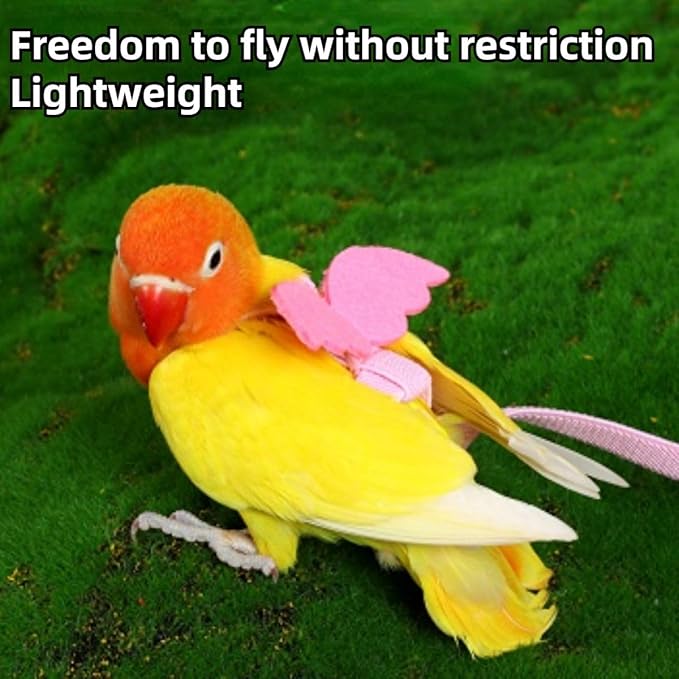 Pet Parrot Bird Harness and Leash, Adjustable Training Design Anti-Bite, Bird Nylon Rope with Cute Wing and Colorful Leash for Parrots Lovebird Cockatiel Conure Budgie (Purple with 118.1inch Leash,S)