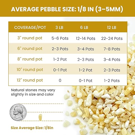 1/8 Inch Aquarium Gravel, Small Pebbles for Fish Tank, Indoor Plants & Succulents, Natural Mini River Rocks for Drainage, Terrarium, Top Dressing & Vase Filler, Cream Beige, 6LB