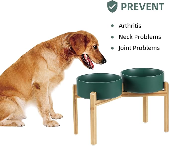 Havniva Ceramic Raised Double Bowls Set with Stand, Food & Water Bowls for Large Breed Dogs, Weighted Dog Dishes, Pet Bowl(8.2'',60OZ, Green)