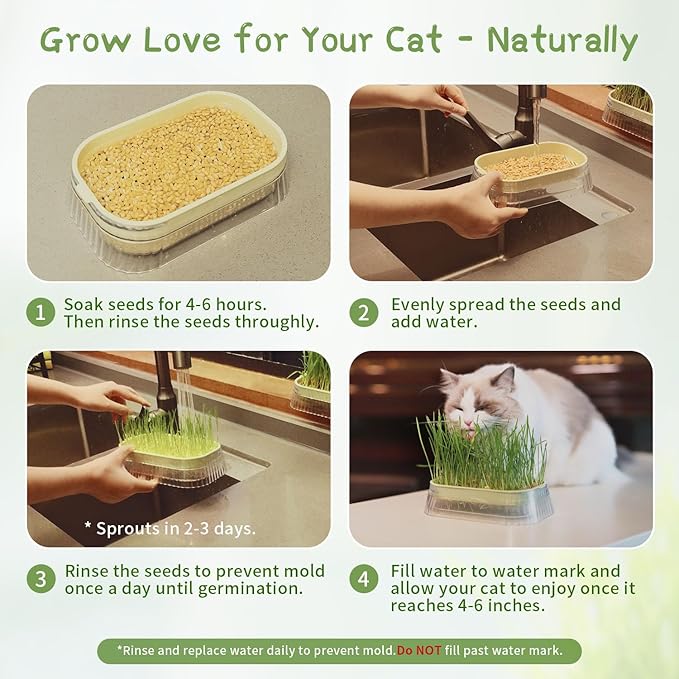 Hydroponic Cat Grass Grow Kit with 5Pack Non GMO Seeds, Organic Grass Growing Kit, Cat Grass for Indoor Cats, Soil-Free Planter, Perfect for Beginners, Ideal Birthday Gift for Cat Lovers