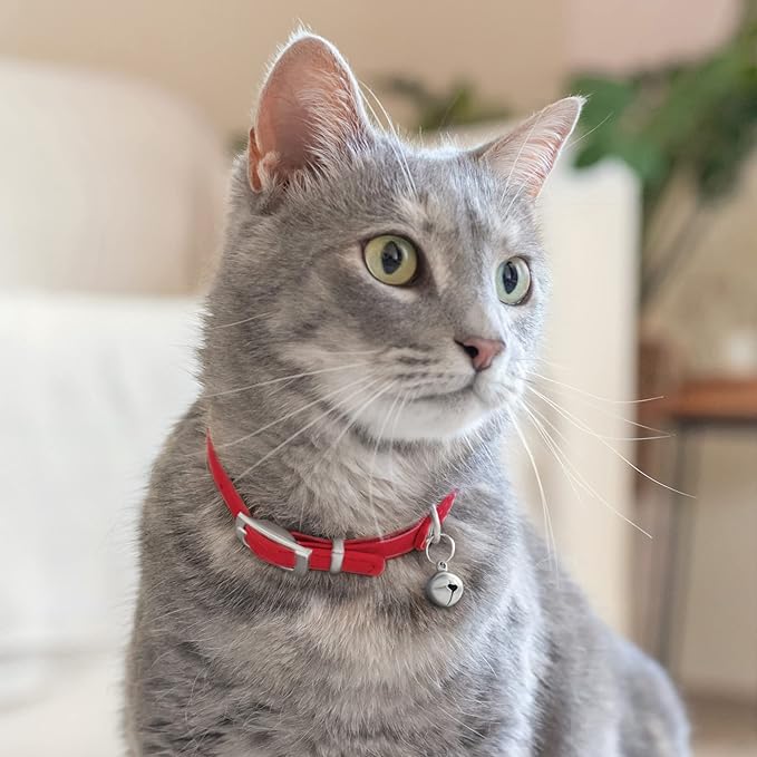 CollarDirect Leather Cat Collar with Removable Bell – Safety Elastic Strap (Breakaway Alternative) – Kitten Collar for Small & Big Boy & Girl Cats